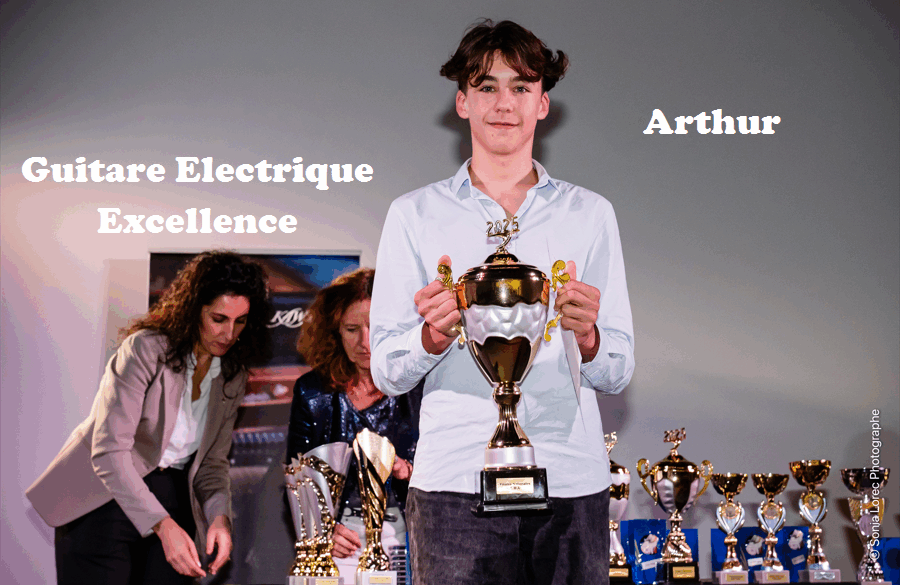 guitare electrique_excellence